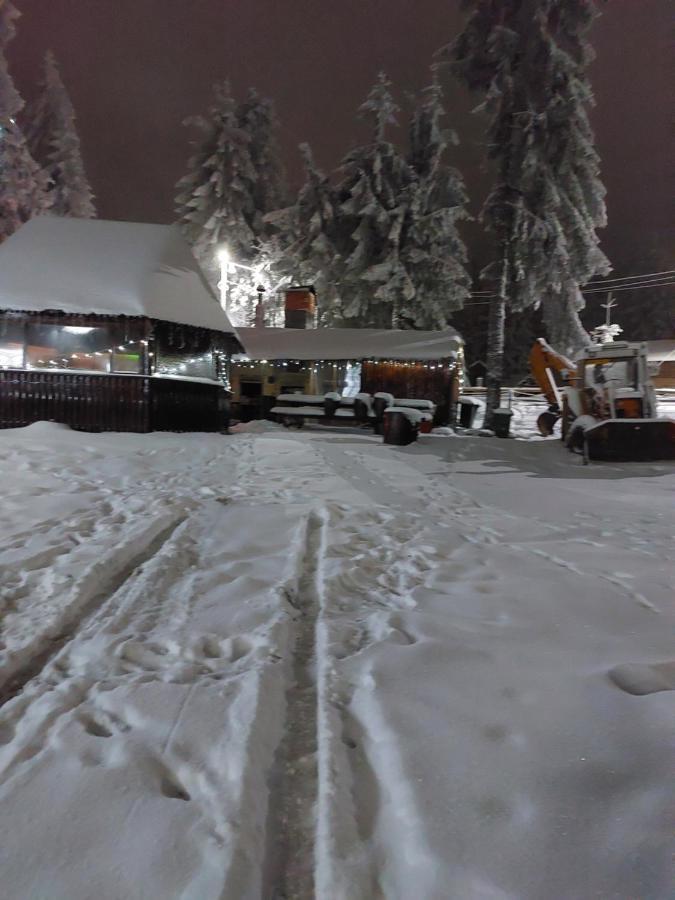 Pensiunea Aurora Vârtop Esterno foto
