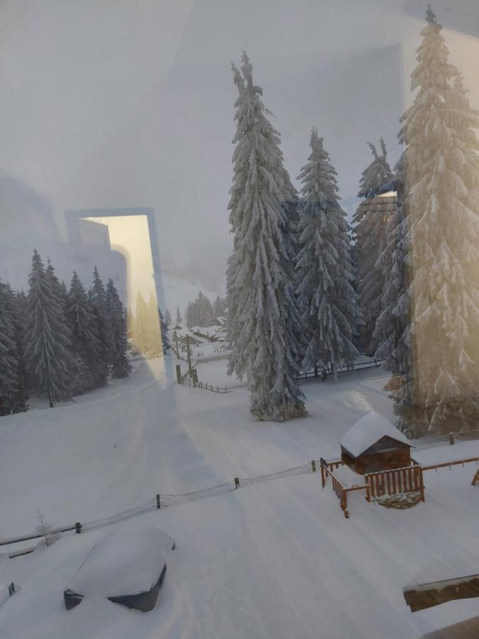 Pensiunea Aurora Vârtop Esterno foto