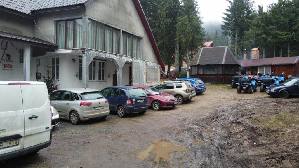Pensiunea Aurora Vârtop Esterno foto